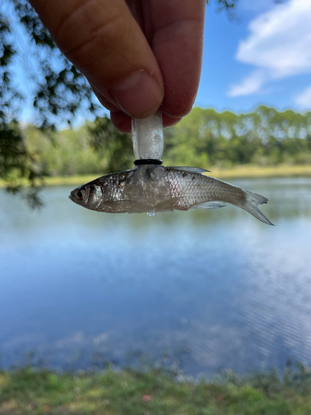 JackWraps® – Clear Wraps (4-Pack)