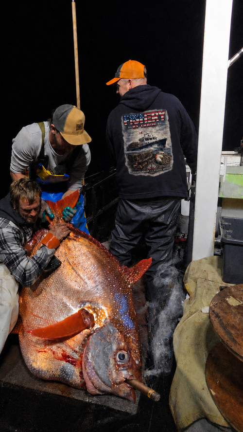 Hiliner Hoodie (American Lobster)
